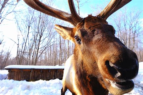 parc omega hibernate